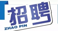 岱岳區(qū)政務(wù)服務(wù)中心招人啦！大專以上學(xué)歷，即日起報(bào)名