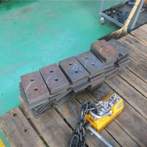 2018111102 ���������^